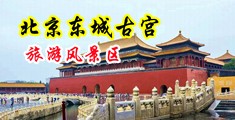 美女拿道具捅骚逼操逼娇网站中国北京-东城古宫旅游风景区